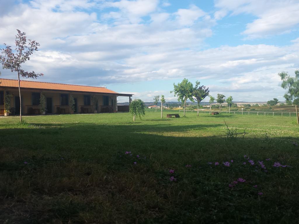 Agriturismo San Matteo Tarquinia Zimmer foto