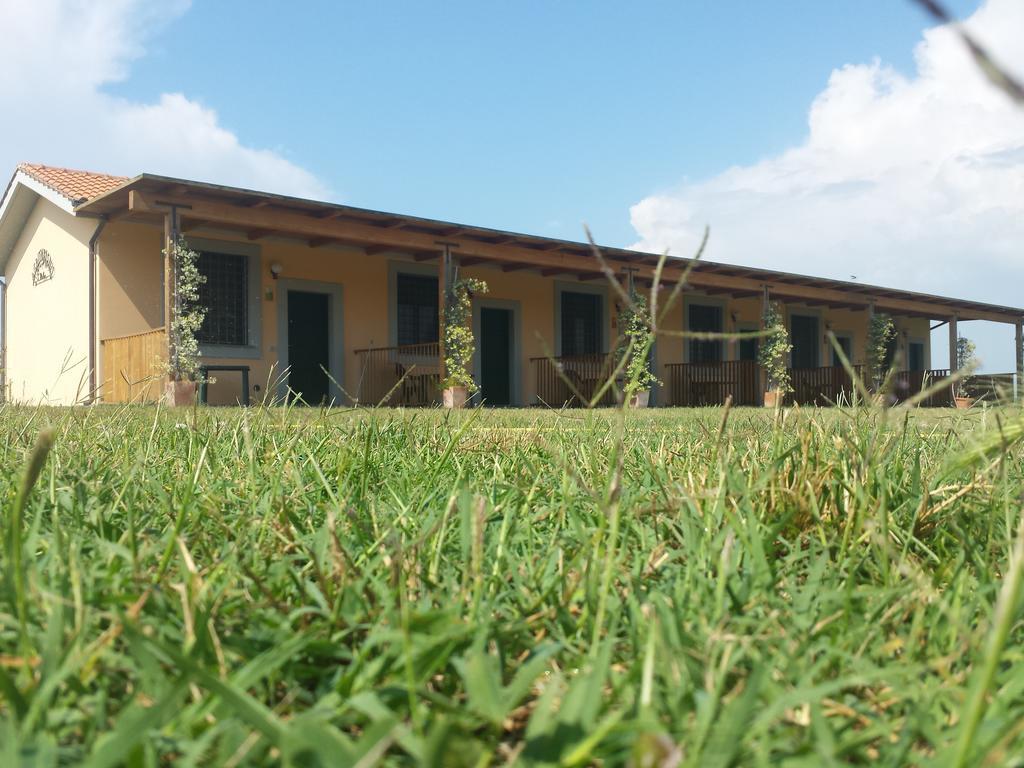 Agriturismo San Matteo Tarquinia Zimmer foto