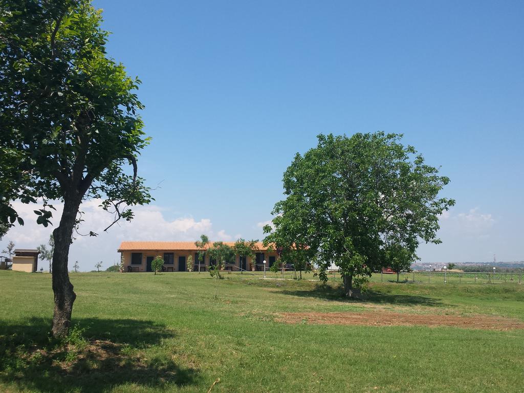 Agriturismo San Matteo Tarquinia Zimmer foto