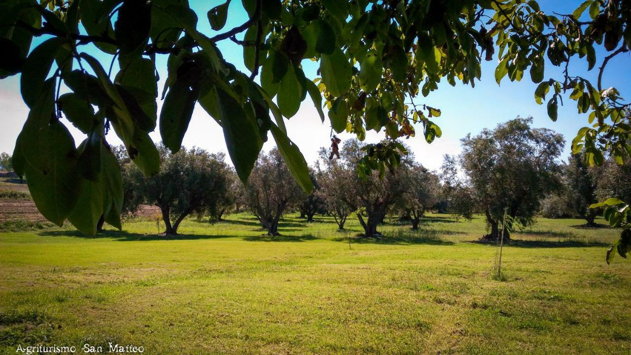 Agriturismo San Matteo Tarquinia Exterior foto