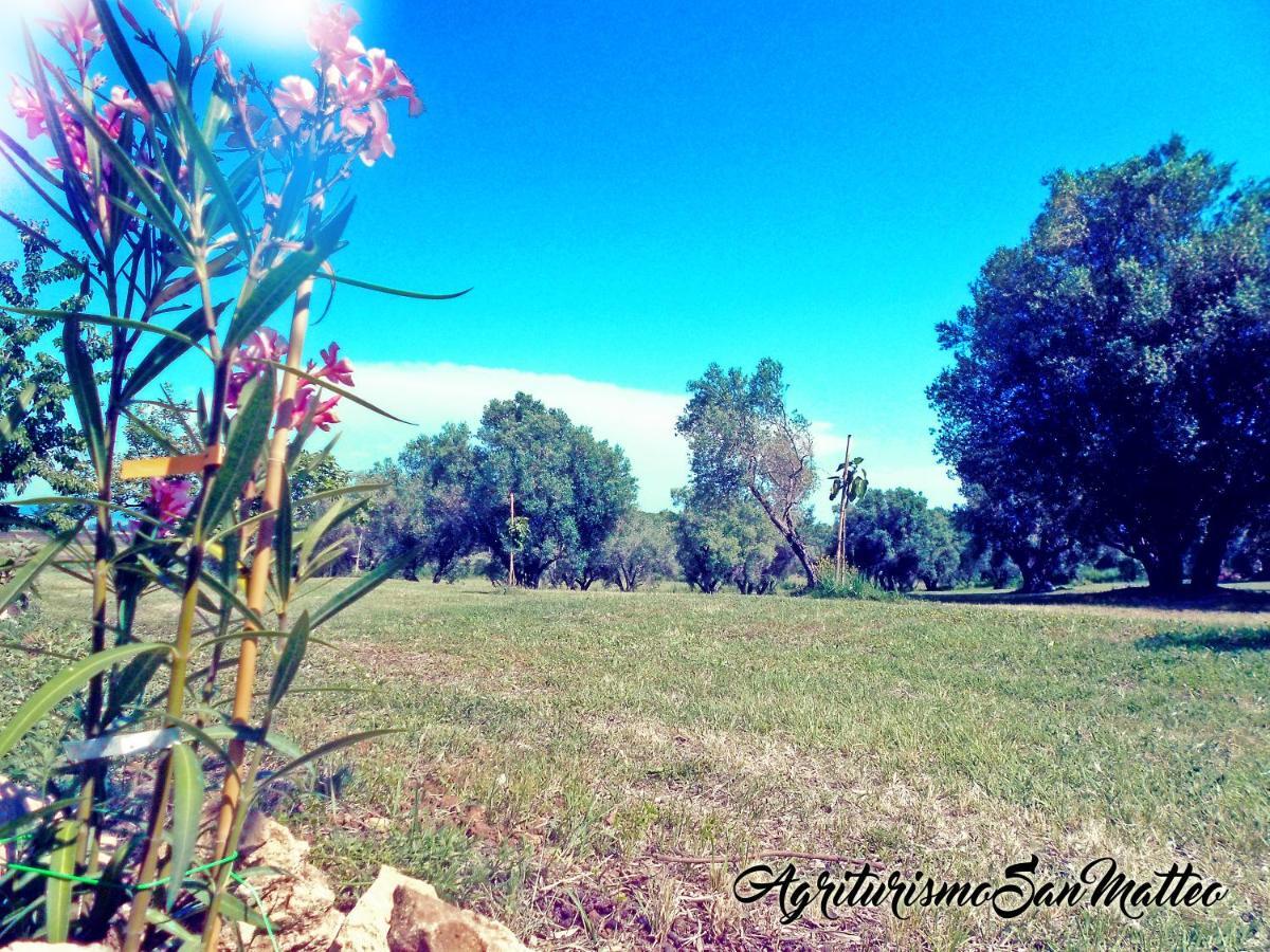 Agriturismo San Matteo Tarquinia Exterior foto